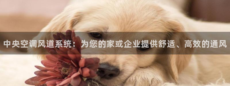 菲律宾环球360地址