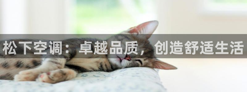 环球360平台注册
