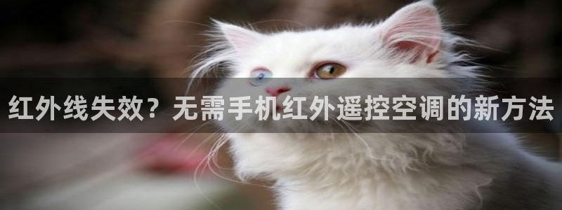 环球360假线一比一