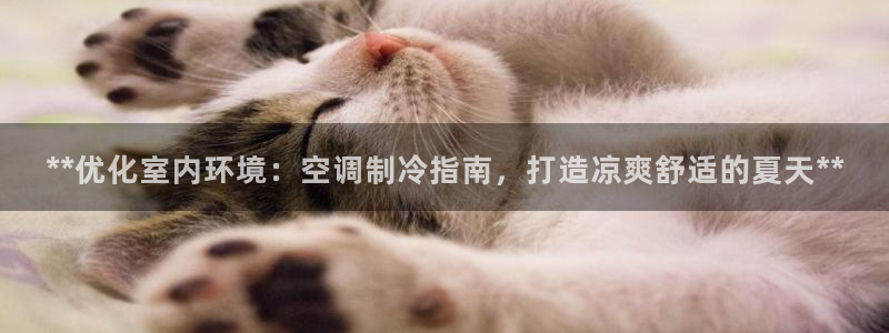 环球360网站最新官网地址在哪里