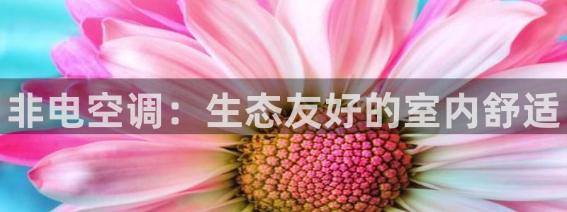 环球360网