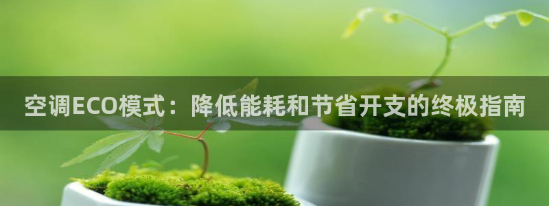 环球360的官网买分