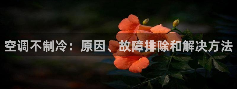 环球360官网手机版下载地址在哪