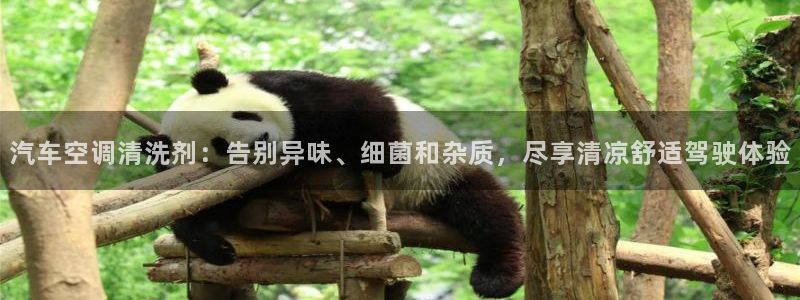 环球360官网手机版登录