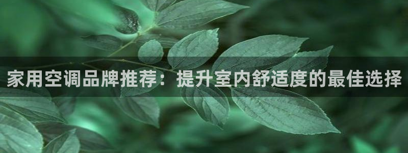 环球360的官网客服在哪里