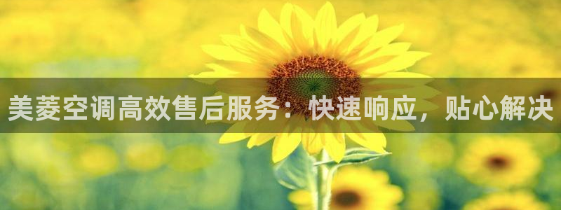 环球360手机版
