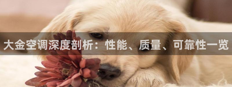 环球360的官网买分