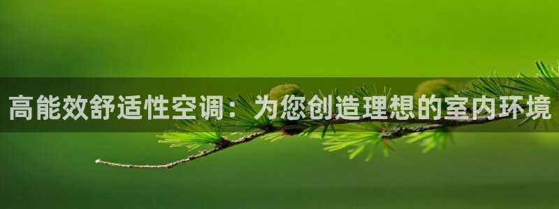环球360正网注册