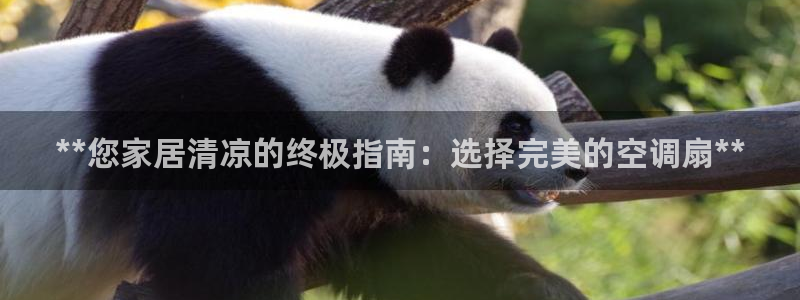 环球360会员登录不上去