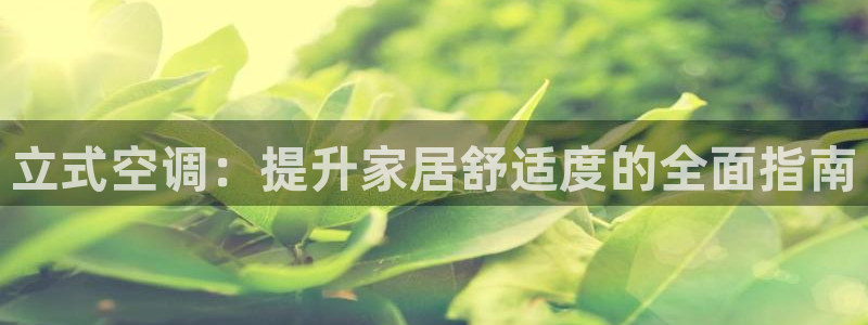 环球360假线合作