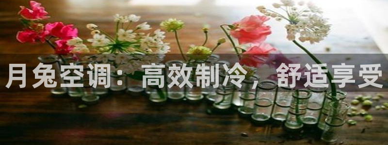 环球360官网手机版下载安装苹果