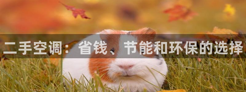 环球360游戏在线注册