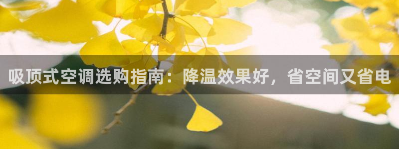 环球360游戏网站官网