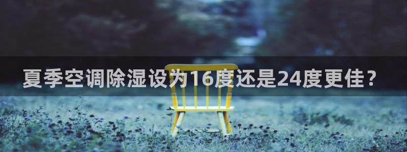 环球360飞机视频在线观看