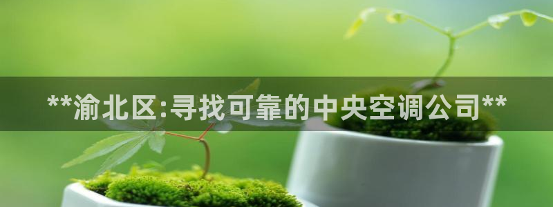 环球360官方网站首页