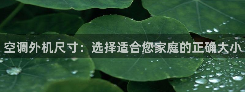 菲律宾环球360娱乐有限公司