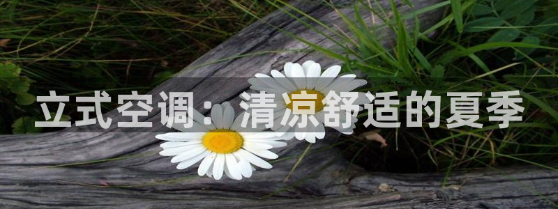 环球360假网多少钱1万分
