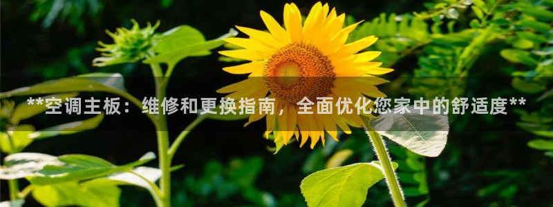 环球360试玩