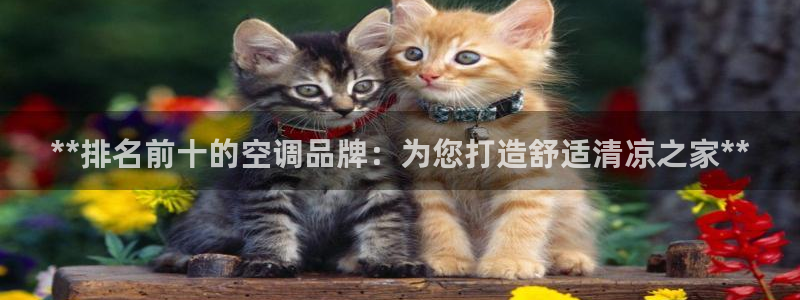环球360漏洞
