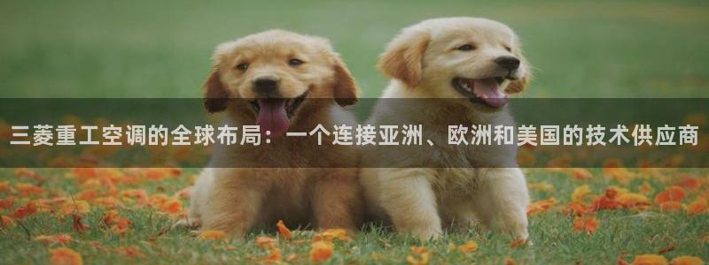 菲律宾环球360代理是真的吗