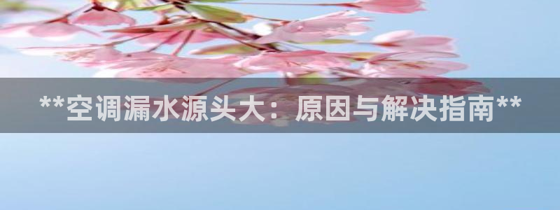 环球360官网手机版下载最新版安装